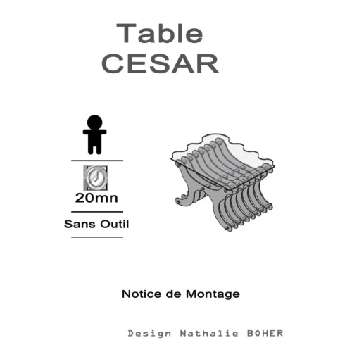 titre_notice_cesar